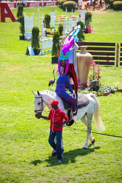 Exibição equestre de saltos e cavalgadas — Fotografia de Stock