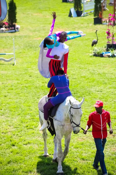 Exibição equestre de saltos e cavalgadas — Fotografia de Stock