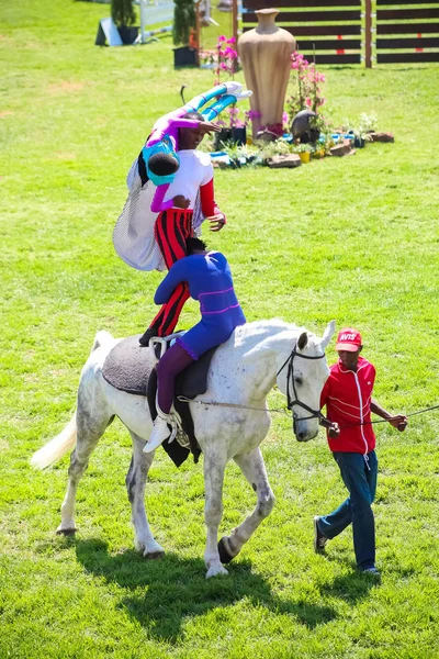 Spectacle équestre Saut d'obstacles et équitation — Photo