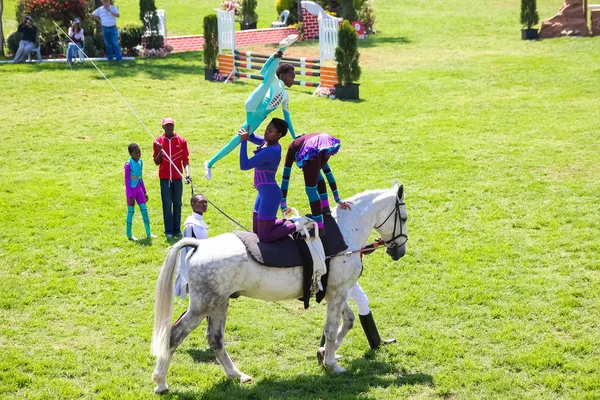 Exibição equestre de saltos e cavalgadas — Fotografia de Stock