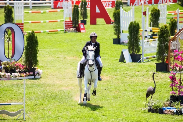 Exibição equestre de saltos e cavalgadas — Fotografia de Stock