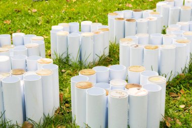 Nirox Park açık hava sanat Heykel Sergisi 