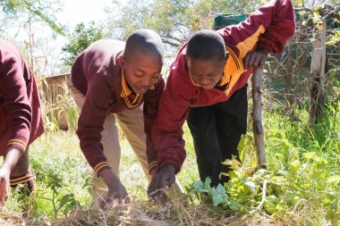 Okul tarım hakkında öğrenme ve tarım çocukları