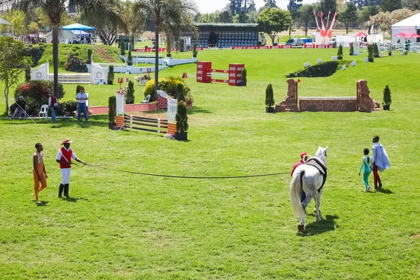 Spectacle équestre Saut d'obstacles et équitation — Photo