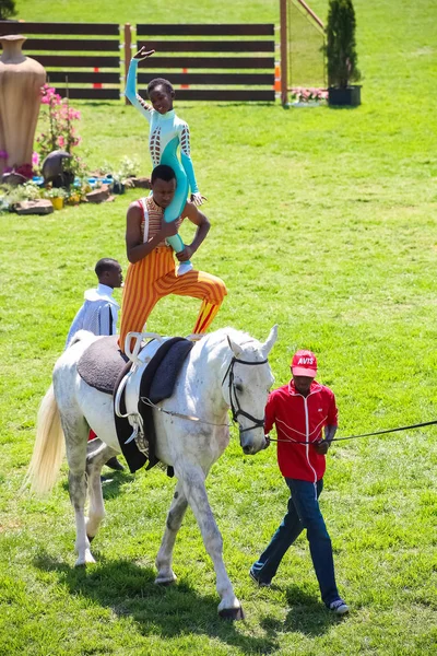 Spectacle équestre Saut d'obstacles et équitation — Photo