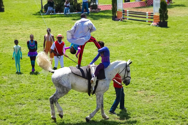 Spectacle équestre Saut d'obstacles et équitation — Photo