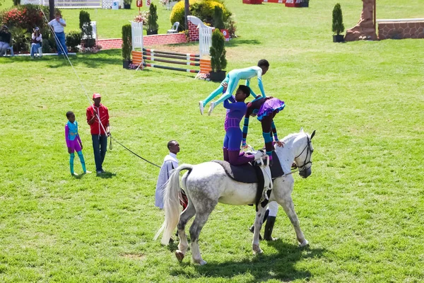 Spectacle équestre Saut d'obstacles et équitation — Photo