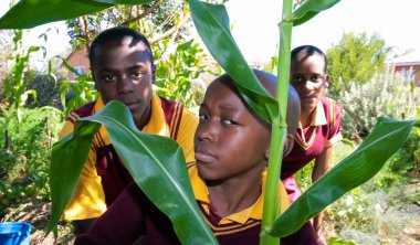 Okul tarım hakkında öğrenme ve tarım çocukları