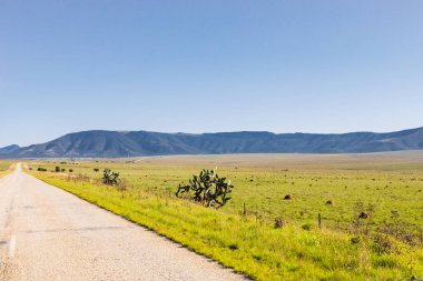 Boş bir ülke karayolu yolu görünümü