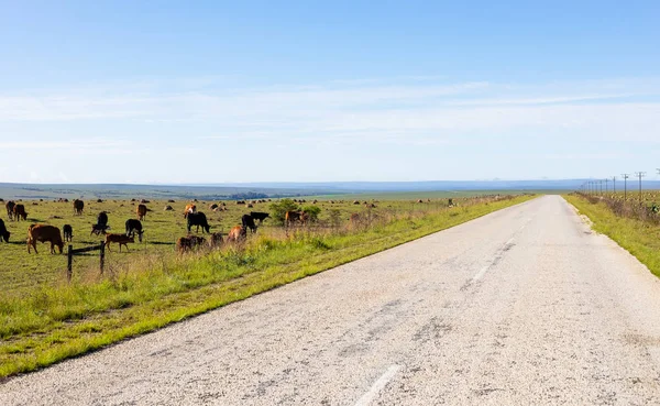 Vista de una carretera rural vacía —  Fotos de Stock