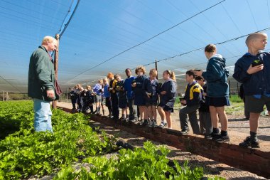 Okul tarım hakkında öğrenme ve tarım çocukları