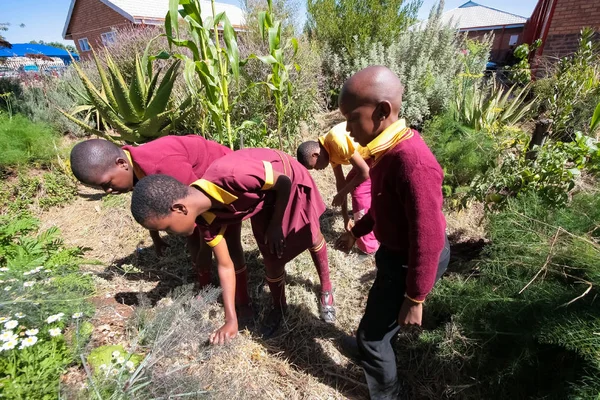 Schoolgaande kinderen leren over landbouw en landbouw — Stockfoto