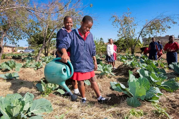 Niños en edad escolar aprendiendo sobre agricultura y agricultura — Foto de Stock