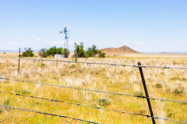 Güney Afrika 'nın kırsal kesimindeki bir çiftlikteki yel değirmeni