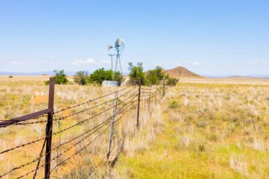 Güney Afrika 'nın kırsal kesimindeki bir çiftlikteki yel değirmeni