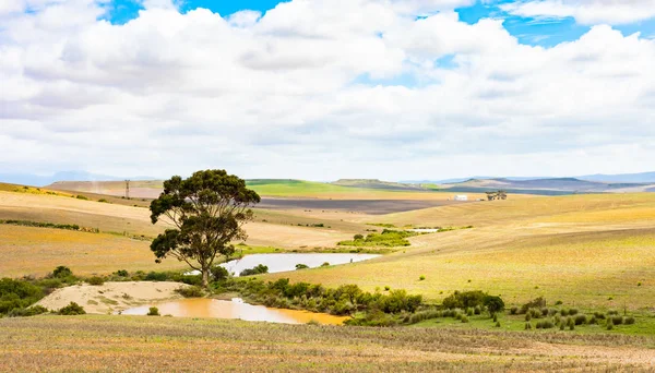 Αγροτική περιοχή Grassland της ημιερήμου Karoo στη Νότια Αφρική — Φωτογραφία Αρχείου