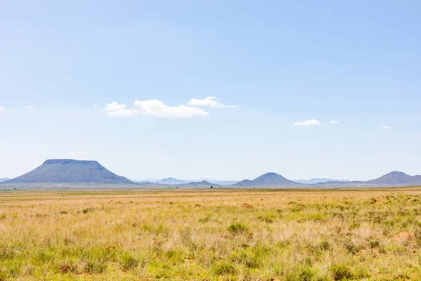 Área de agricultura de pastizales del semidesértico Karoo en Sudáfrica — Foto de Stock