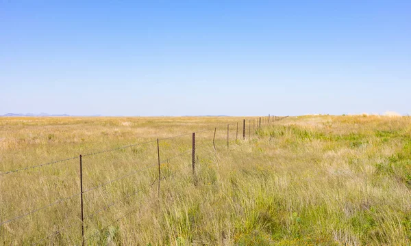 Travnatá zemědělská oblast polopouště Karoo v Jižní Africe — Stock fotografie