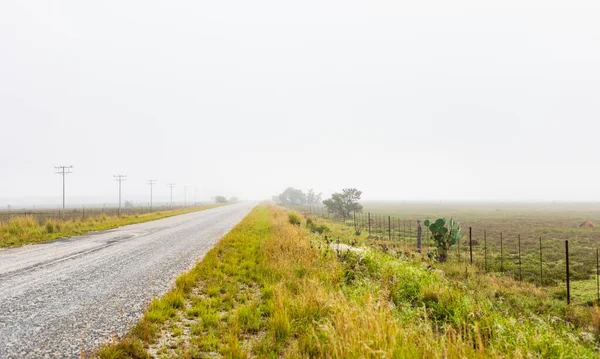 Pohled Prázdnou Silnici Země Jihoafrickém Zemědělském Regionu — Stock fotografie