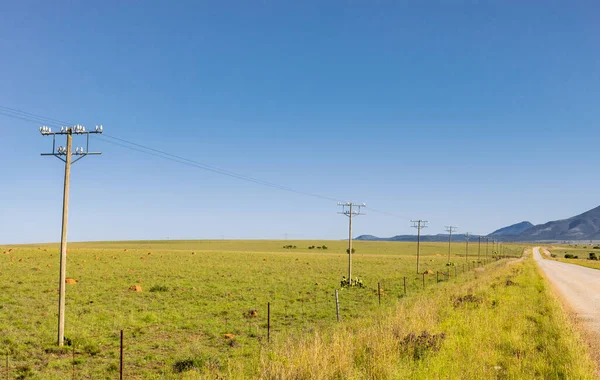 Vue Une Route Campagne Vide Dans Région Agricole Sud Africaine — Photo