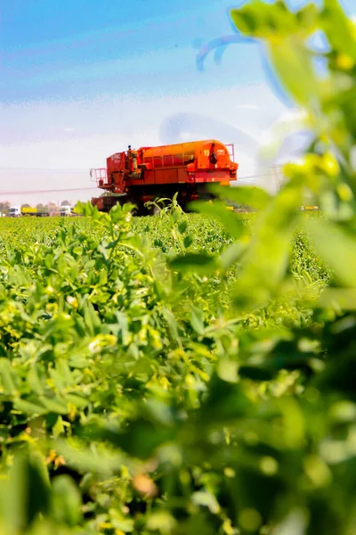 Johannesburg South Africa Жовтня 2010 Комерційне Pea Farming Combine Harvester — стокове фото