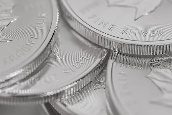 Cape Town, Güney Afrika - 17 Ağustos 2019: 9999 Silver Maple Leaf Bullion Coin