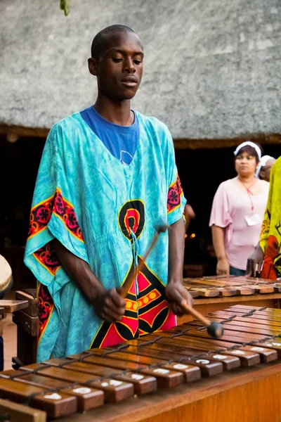 Johannesburgo Sudáfrica Diciembre 2012 Hombres Africanos Tocando Batería Tradicional Para — Foto de Stock