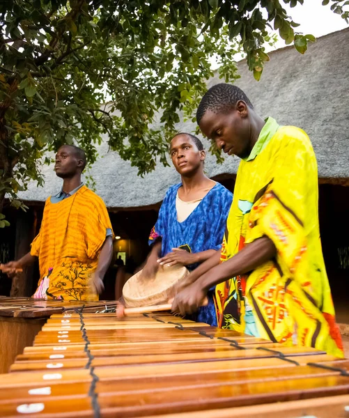 Johannesburgo Sudáfrica Diciembre 2012 Hombres Africanos Tocando Batería Tradicional Para —  Fotos de Stock