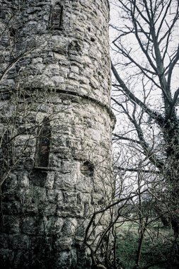 Old Castle Ruins in an English woodland during a cold winter day clipart
