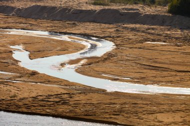 Güney Afrika 'daki bir arazide yarı kuru nehir yatağı.