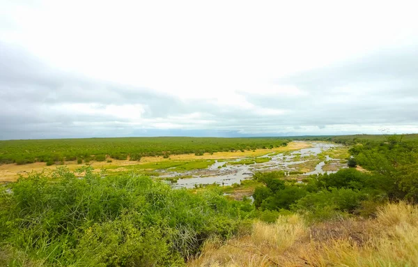 Cama Rio Semi Seca Uma Reserva Natureza Selvagem Sul Africana — Fotografia de Stock