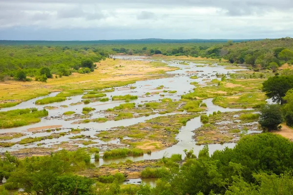 Cama Rio Semi Seca Uma Reserva Natureza Selvagem Sul Africana — Fotografia de Stock