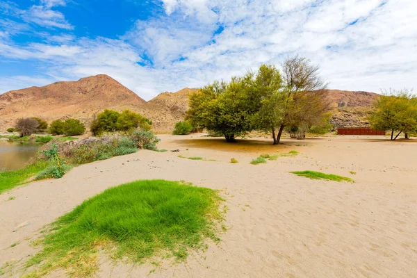 De Hoop çölü kamp alanı Richtersveld Ulusal Parkı, Güney Afrika 'nın kurak bölgesi.