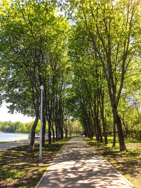 湖沿いの公園の路地 — ストック写真