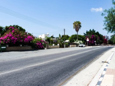 Güzel parlak çiçekli çalılar ile köyde yol