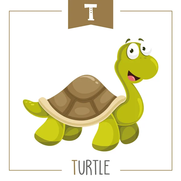 Vector Illustration Alphabet Letter Turtle — Stock Vector