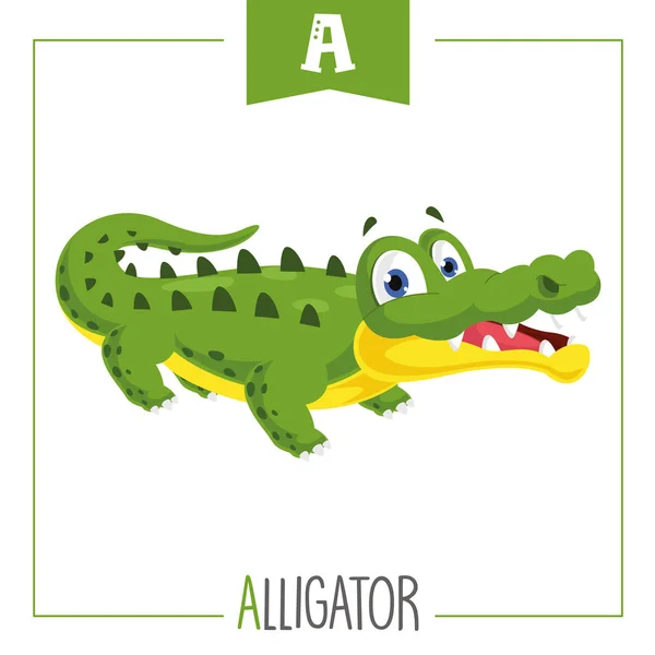 ปแบบเวกเตอร ของต กษร และ Alligator — ภาพเวกเตอร์สต็อก