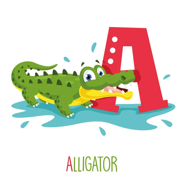 Vektorillustration Alfabetbogstav Alligator – Stock-vektor