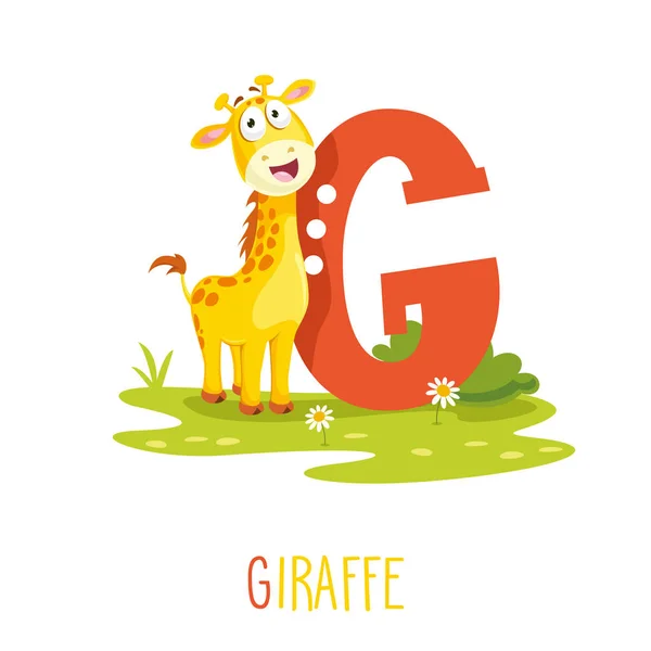 Illustrazione Vettoriale Alfabeto Lettera Giraffa — Vettoriale Stock