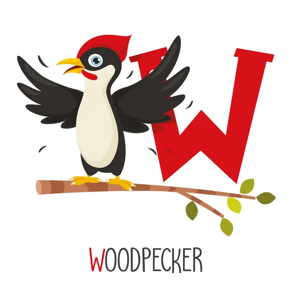 Vector Illustration Alphabet Letter Woodpecker — стоковый вектор