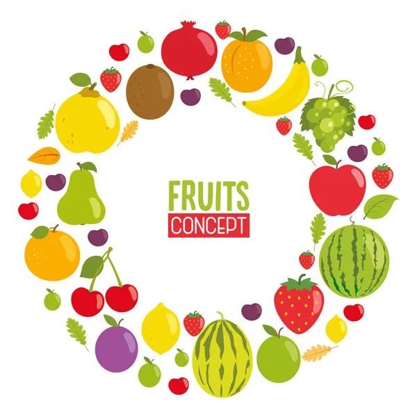 Ilustración Vectorial Del Diseño Del Concepto Frutas — Vector de stock