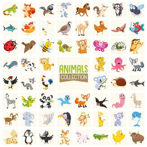 Ilustración Vectorial Colección Animales Dibujos Animados — Archivo Imágenes Vectoriales