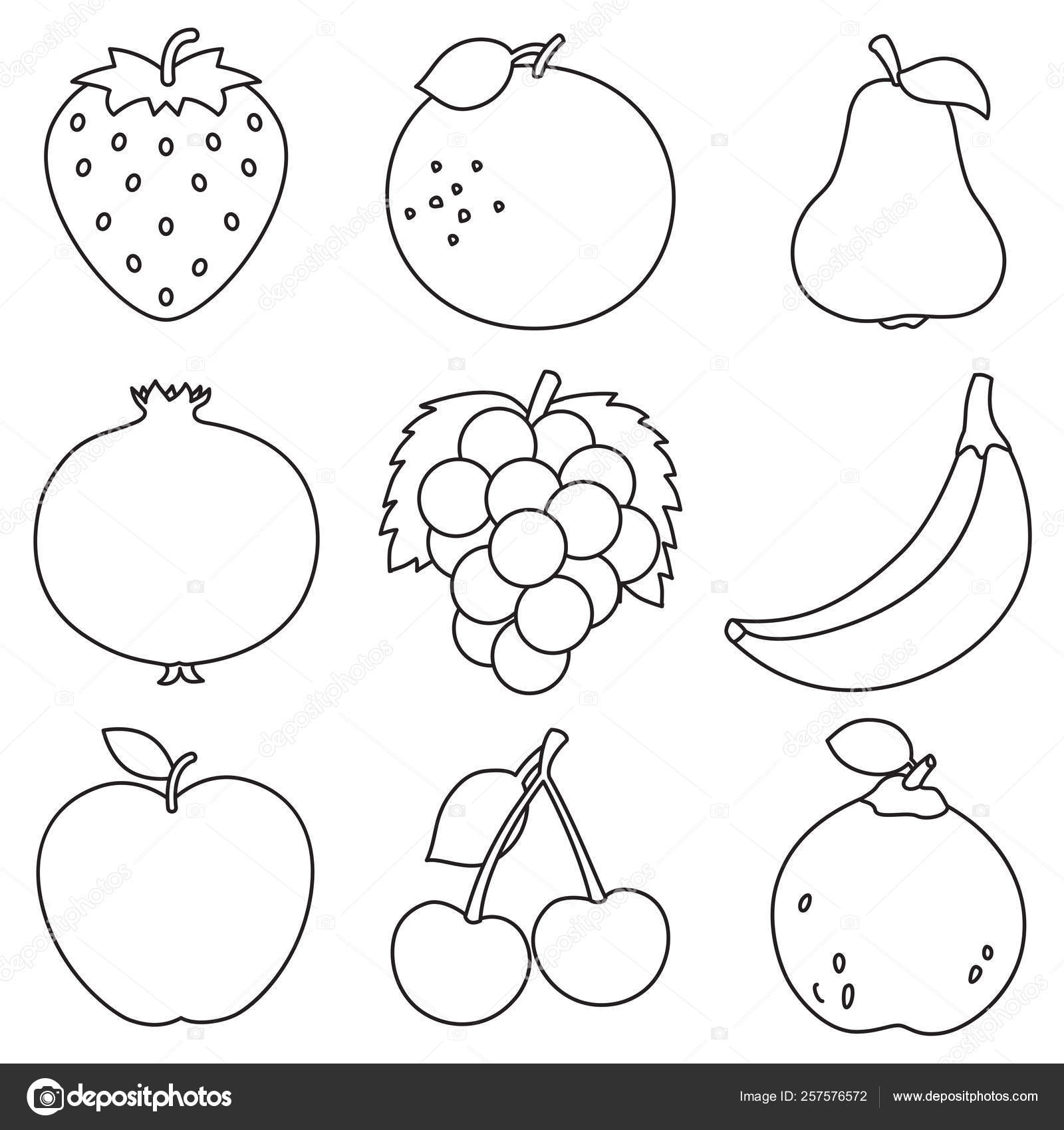 Vector Illustration Fruits Coloring Page — Stock Vector © yusufdemirci #257576572