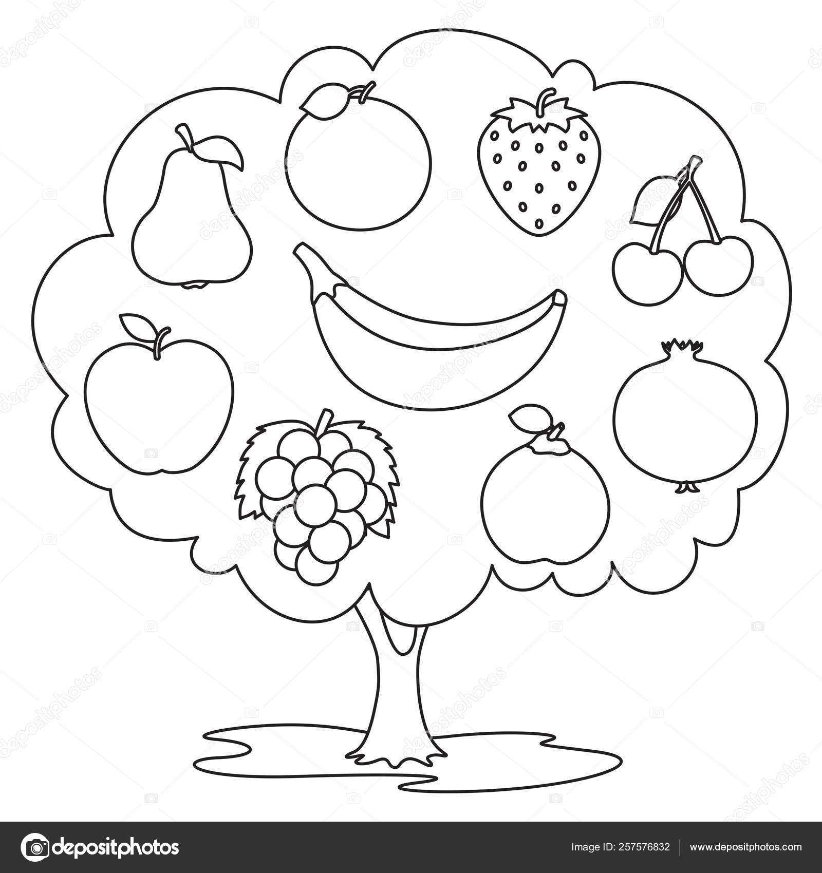 Ilustração Vetorial Frutas Colorir Página imagem vetorial de