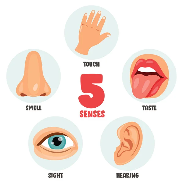Five Senses Images Search Images On Everypixel Five Senses Images Search Images On Everypixel