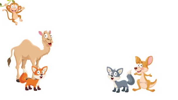 Animáció különböző rajzfilm állatok
