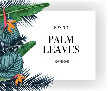 Palmiye yaprakları ile egzotik desen vektör.