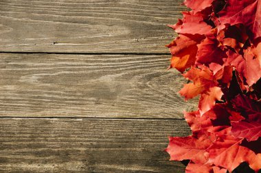 Sonbahar yapraklarının çerçevesi