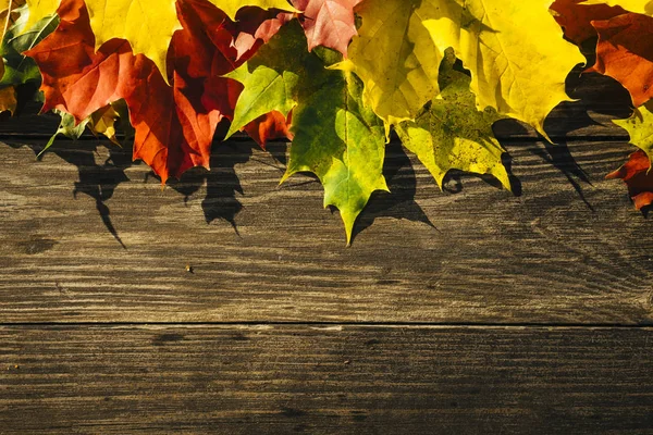 Rahmen der Herbstblätter — Stockfoto