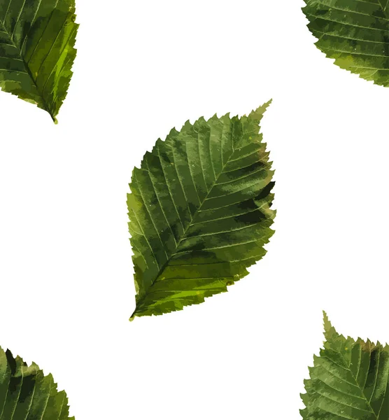 葉自然な枝 緑のシームレス パターンの葉 ハーブ 熱帯植物手描き水彩ベクトル新鮮な美しさ素朴なエコ フレンドリーな背景白 — ストックベクタ